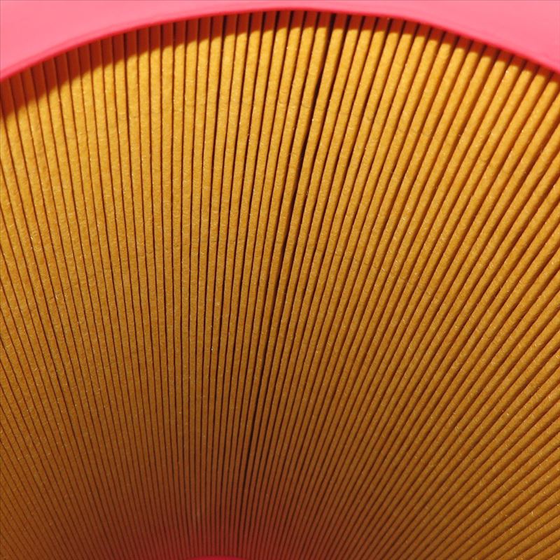 Filtro de aire AF25723