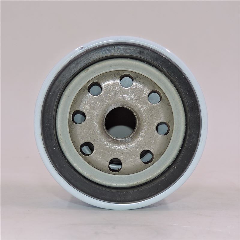 Filtro de combustible LKCQ1A-100E