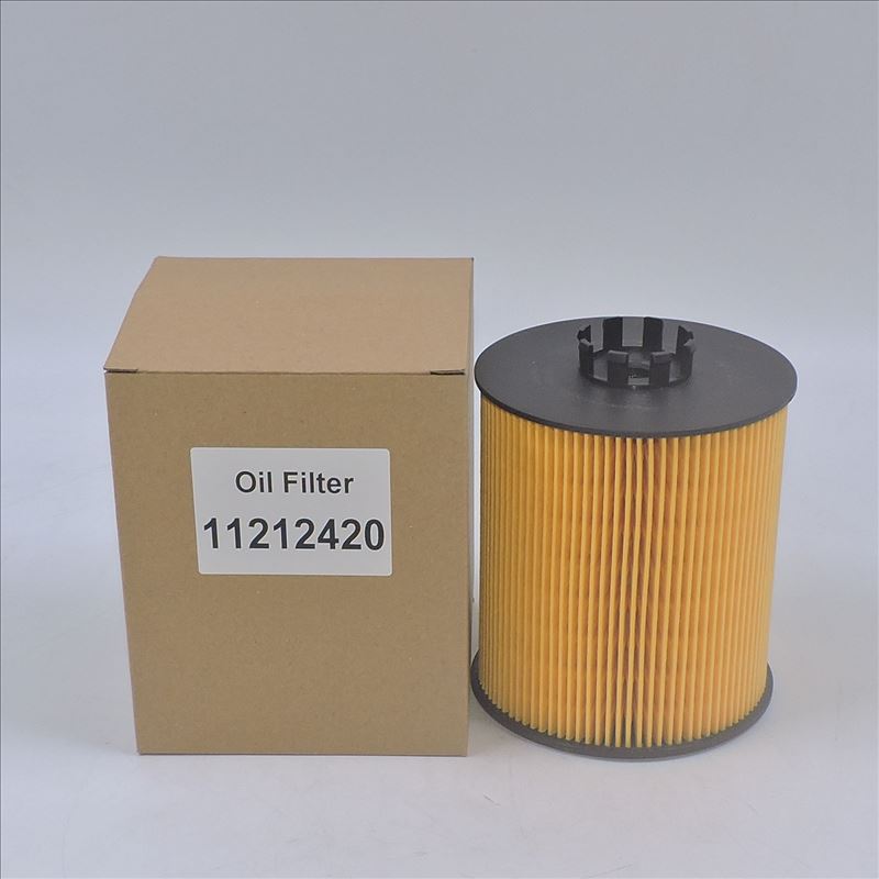Filtro de aceite 11212420 P550938
