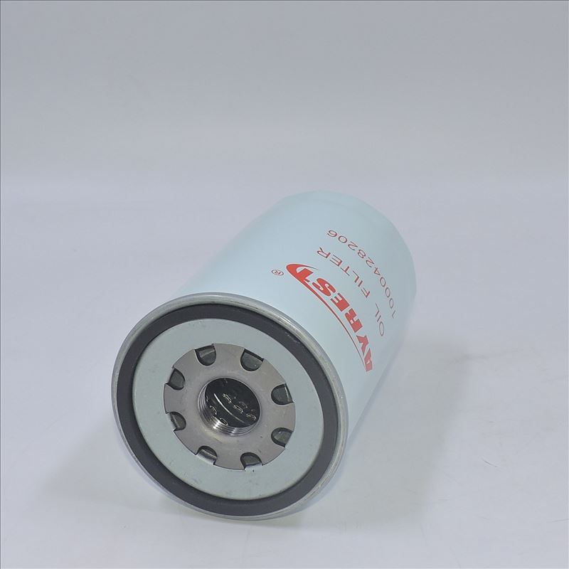 Filtro de aceite 1000428206 R010077