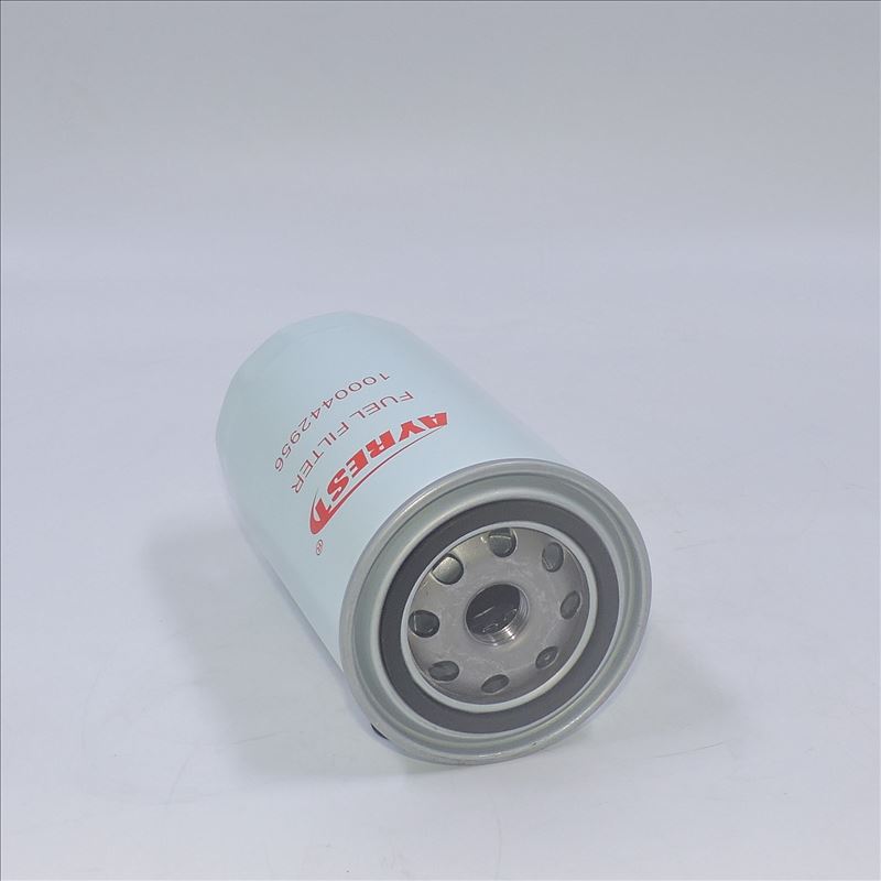 Weichai 1000442956 para WD615