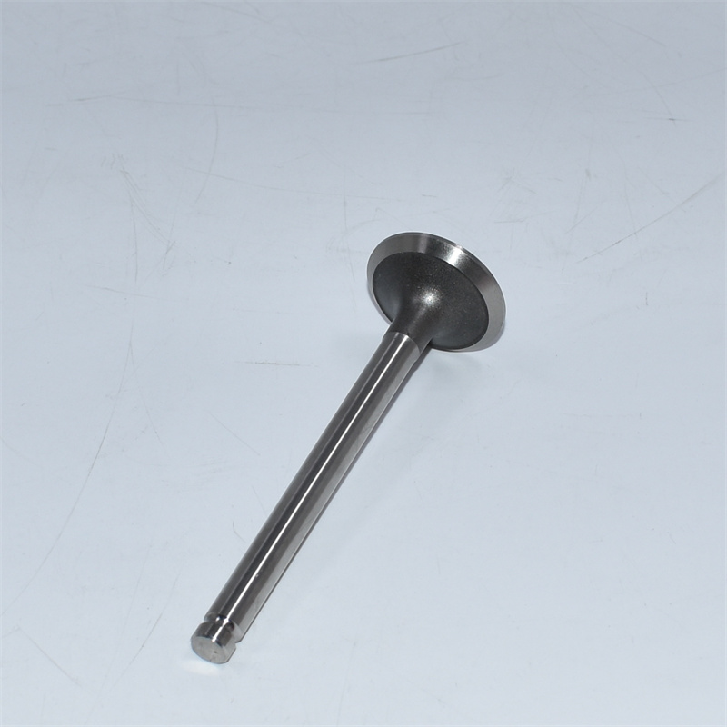 Válvula de escape 905-003 3142A051
