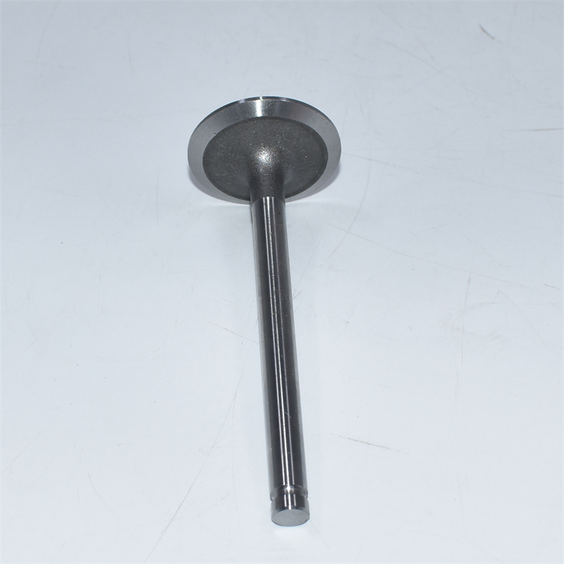 Perkins 3142L072 para motores