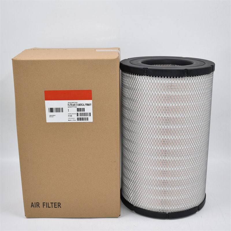 P619046 Filtro de aire RS30130