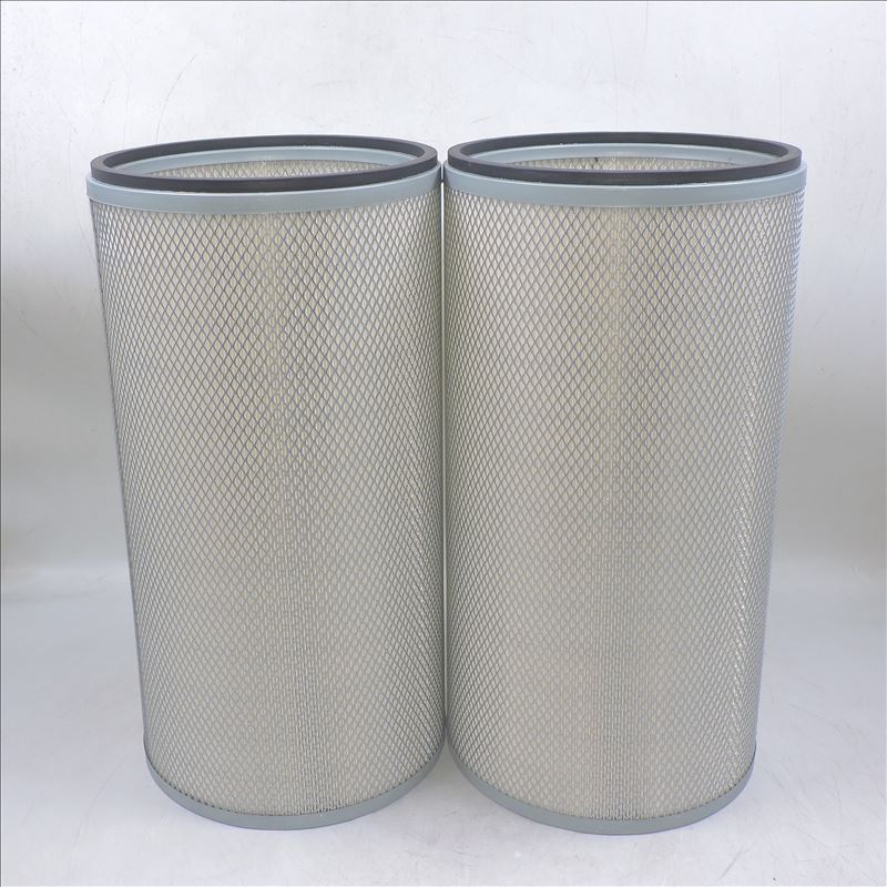 Filtro de aire 1W-3636