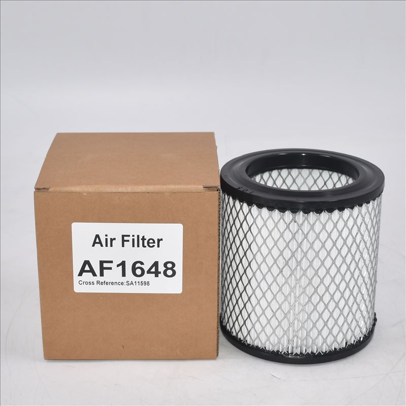 Filtro de aire AF1648 A0000942804 AM31000