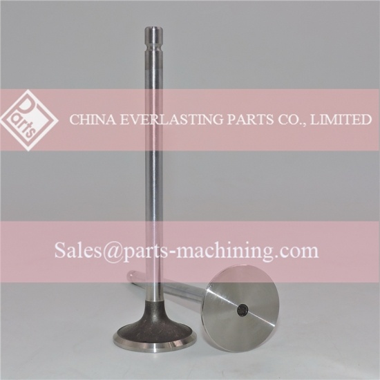 5337797 Exhaust valve