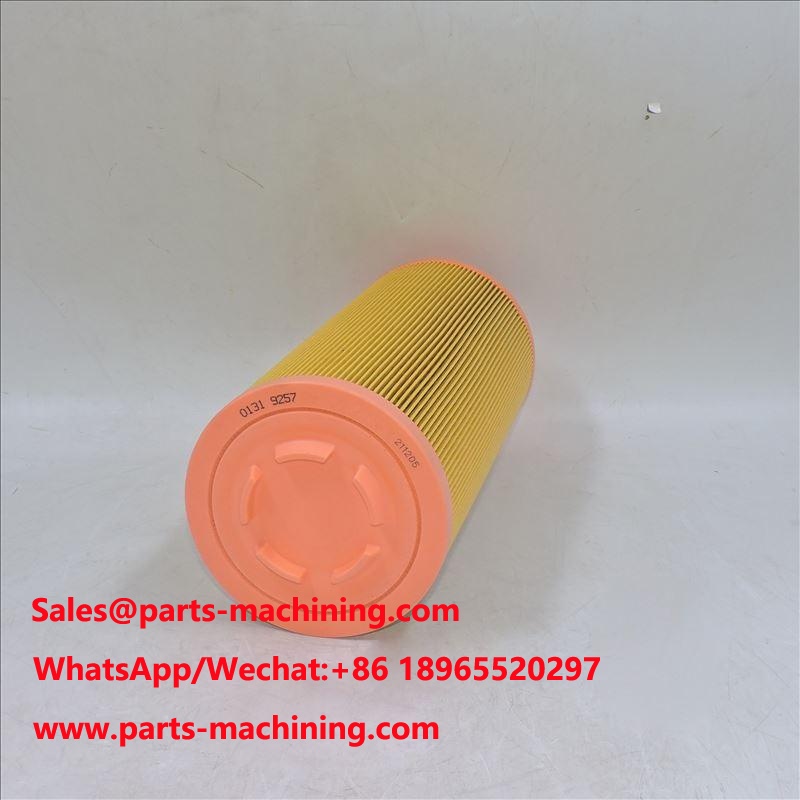filtro de aire 01319257 1319257 P778989 SA 17100 46836
