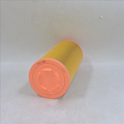 filtro de aire 01319257 1319257 P778989 SA 17100 46836
