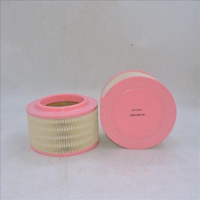 Filtro de aire AB39-9601AB P506075 WA9763 E1205L
