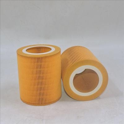 Filtro de aire C1250 1613872000 para compresores Atlas Copco