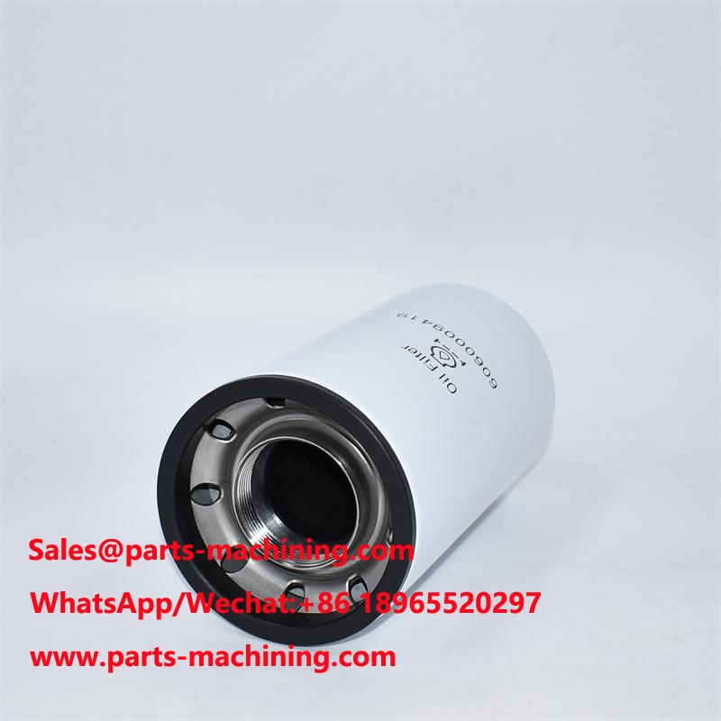 Filtro de aceite 6060009419 P553548 LF3548