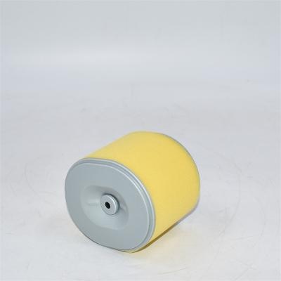 AF25474 Filtro de aire P607254 PA3957 17210ZE3000 5748378 Referencia cruzada