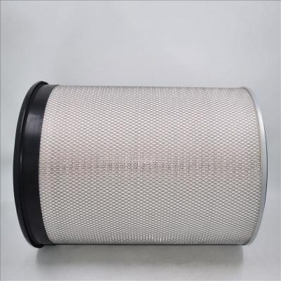 Filtro de aire auténtico AF899 EE-100300 1W3637 581-021-2120 P181040 en stock