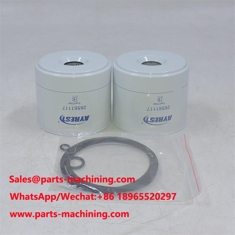 494251 Fuel Filter