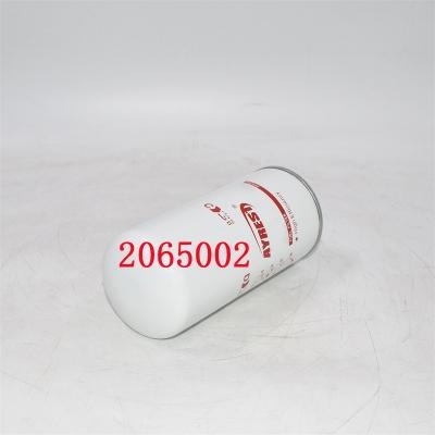 2065002 Filtro de combustible 2002041593 Reemplazo