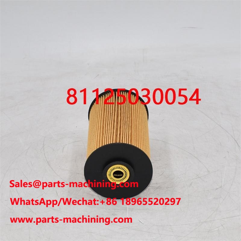 Filtro de combustible 81125030054 81125030018