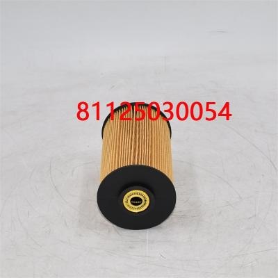 Filtro de combustible 81125030054 81125030018