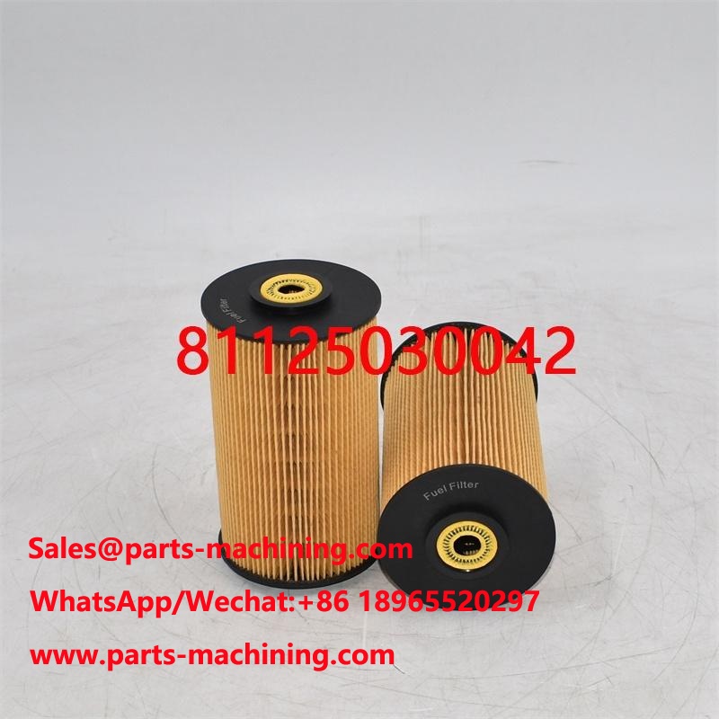 Fuel Filter 81125030042