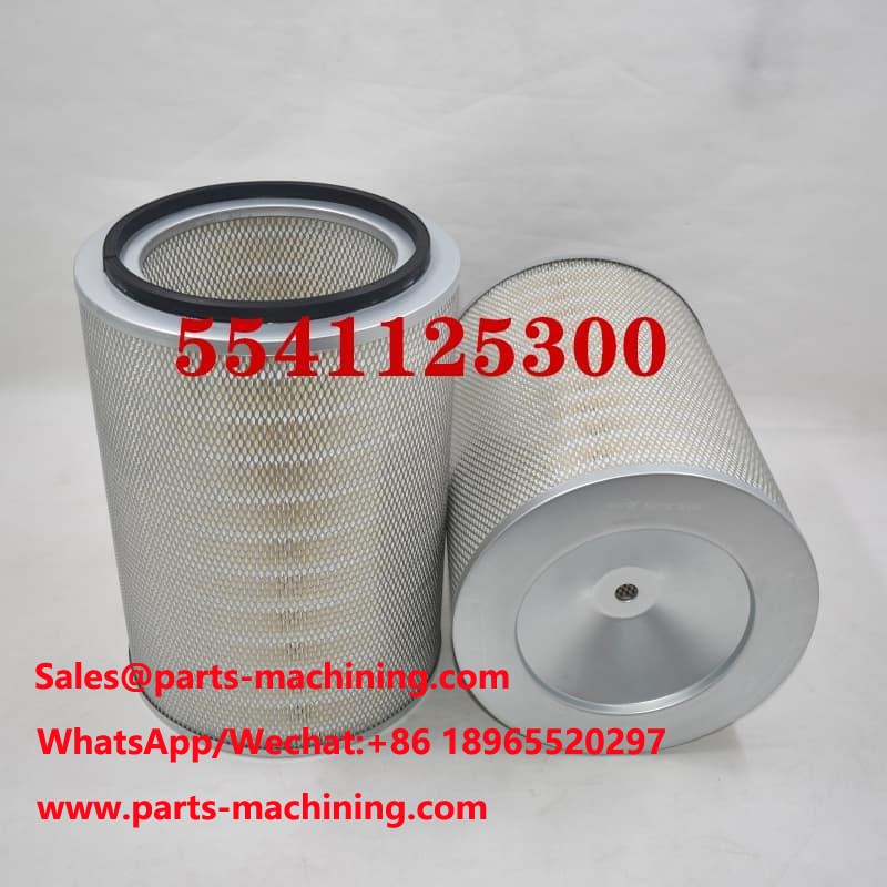 Filtro de aire 5541125300 OEM ODM