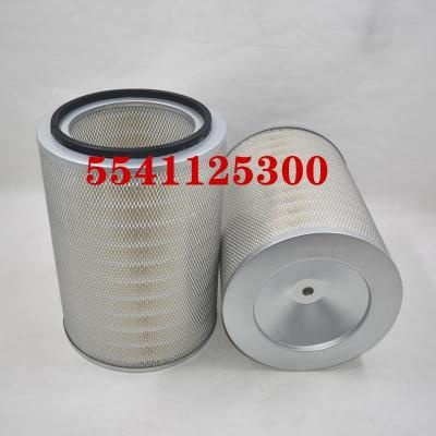 Filtro de aire 5541125300 OEM ODM